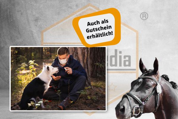 Online-Trainer zum Tierheilpraktiker (m/w/d) {{IN KÜRZE VERFÜGBAR!  }}